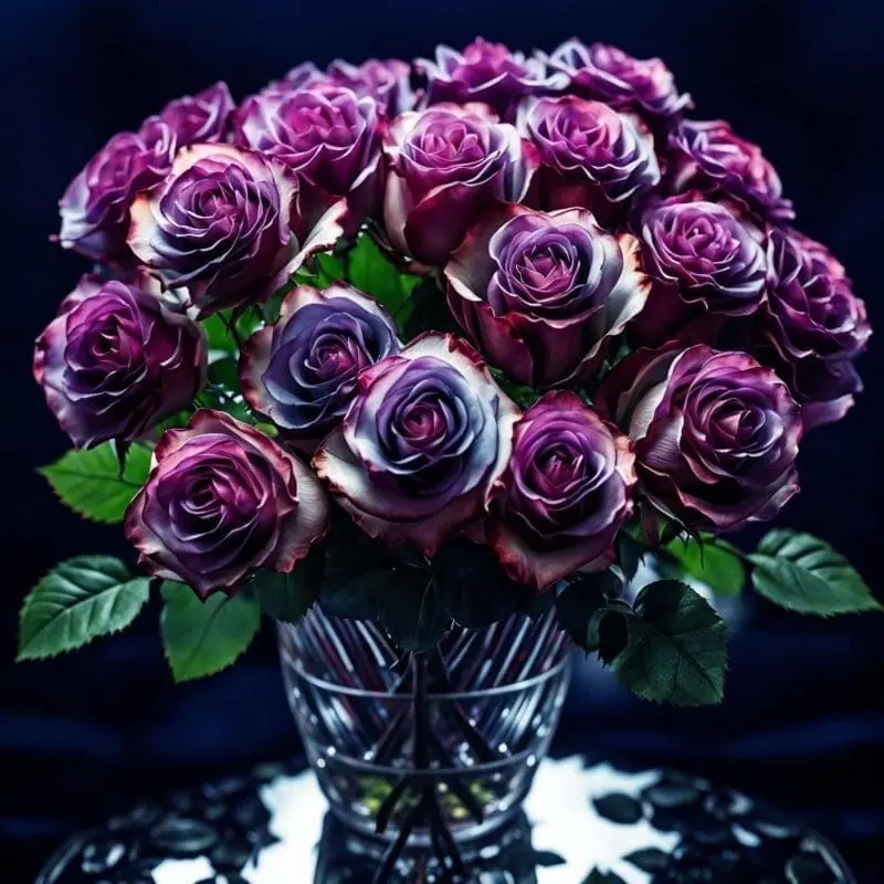 Purple Roses – 3
