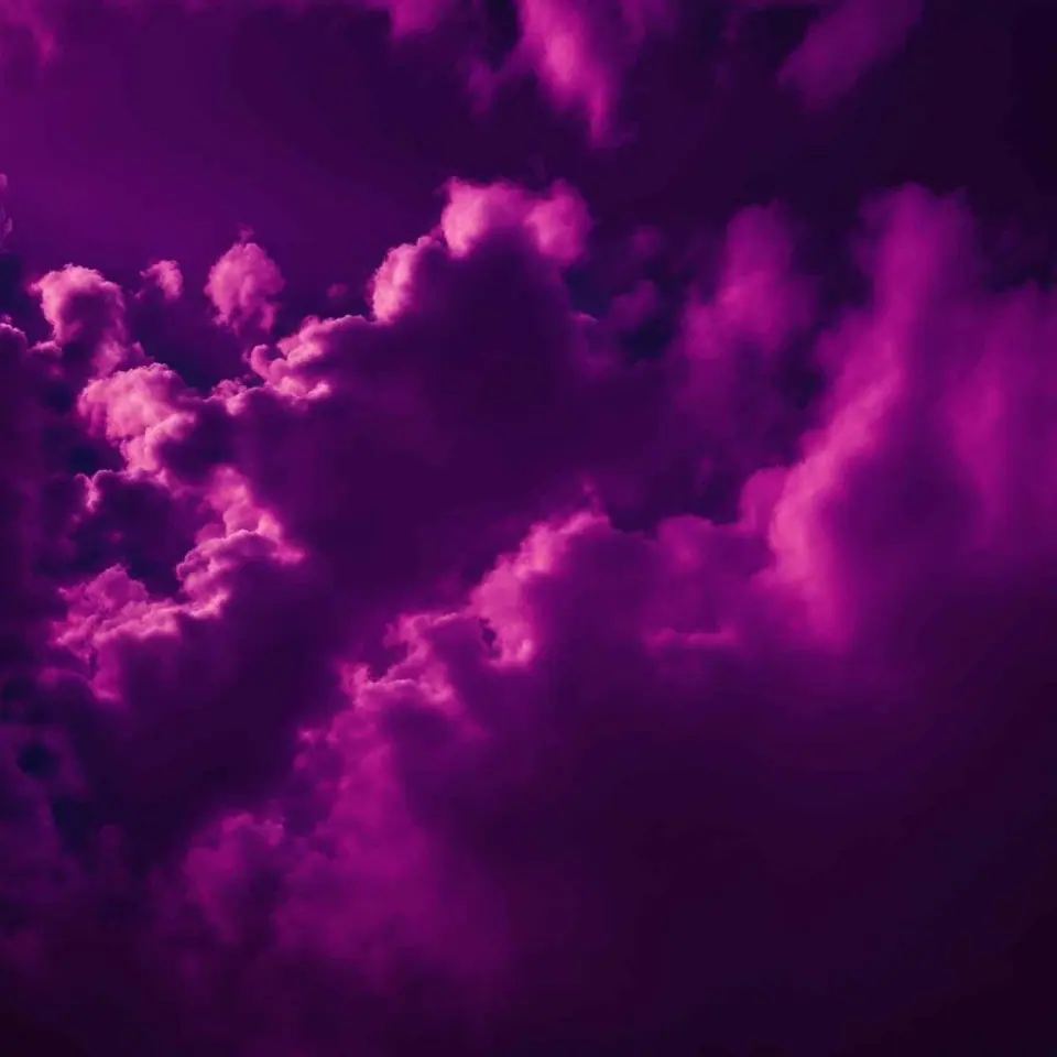 Midnight Purple – 7