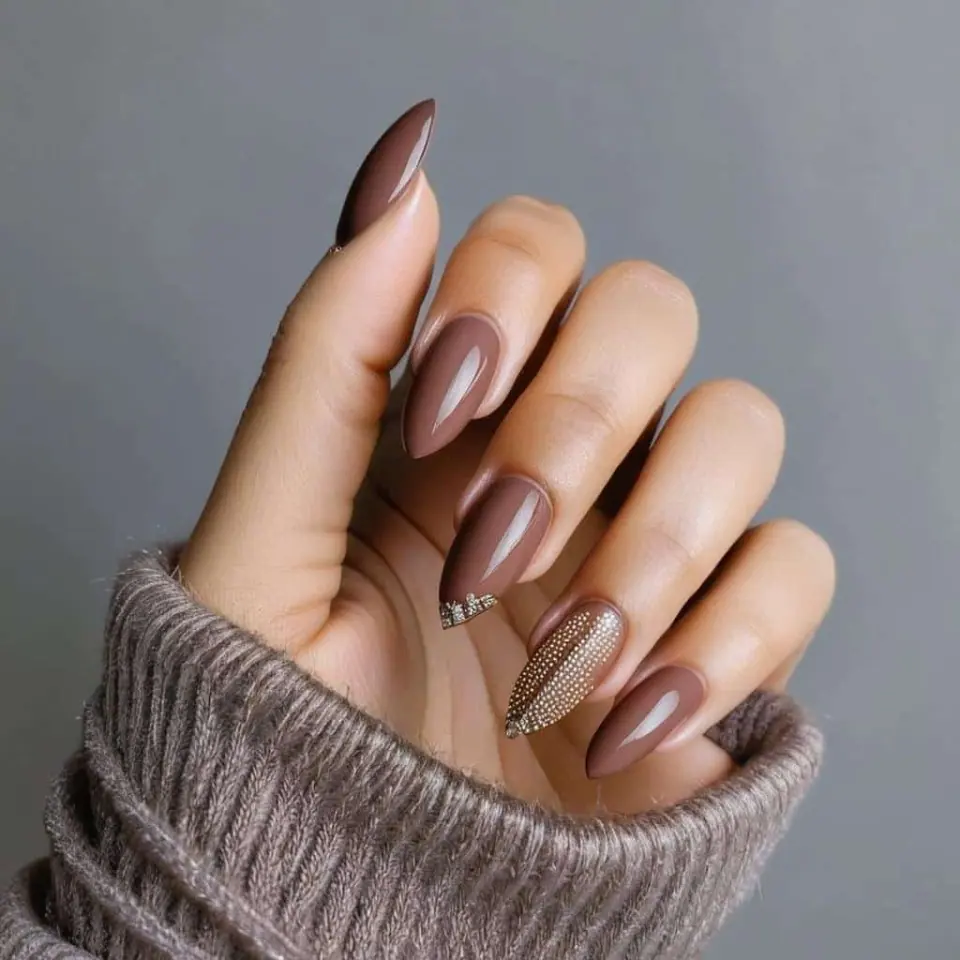 Chic Brown Nail Design Ideas – 1