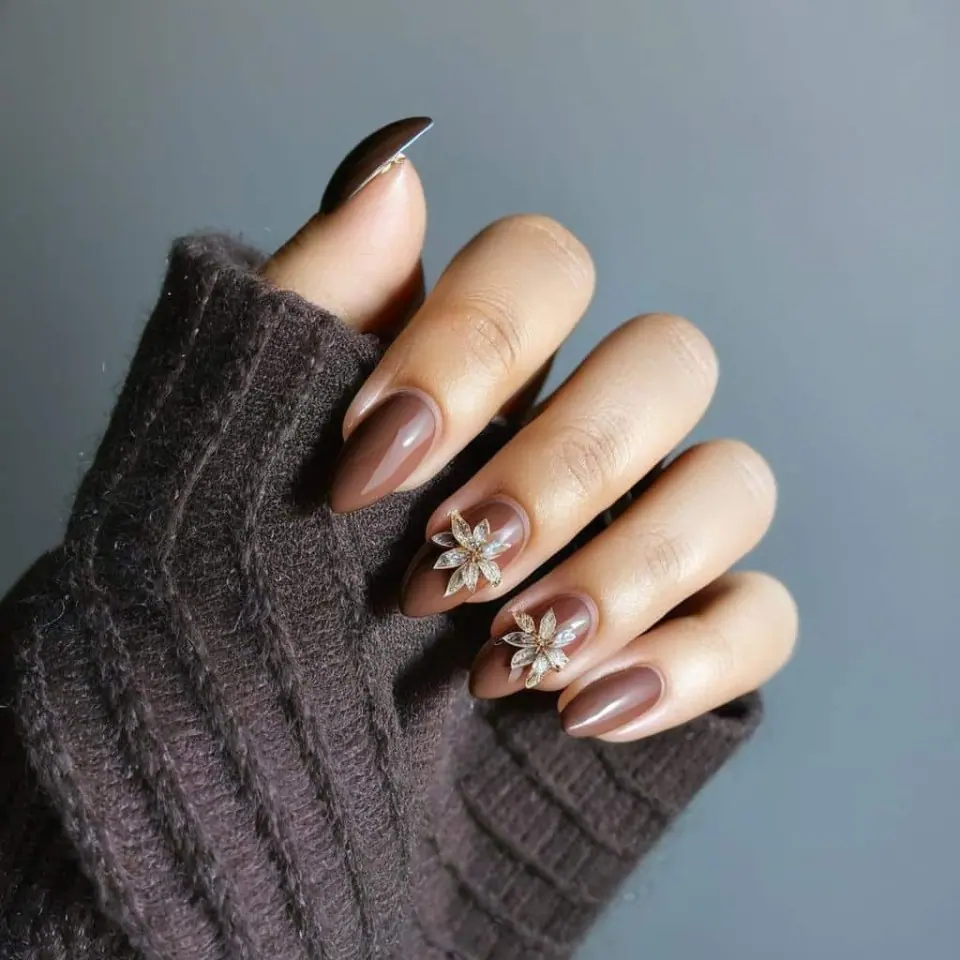 Chic Brown Nail Design Ideas – 4