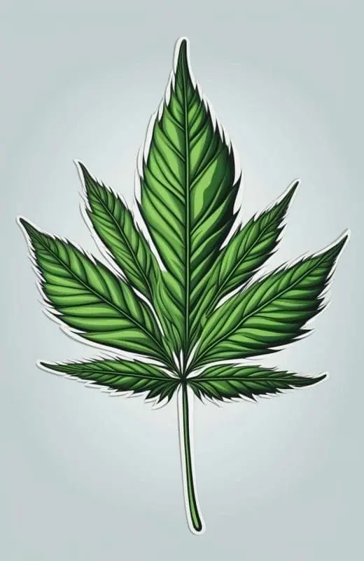Weed Leaf Drawings – 3