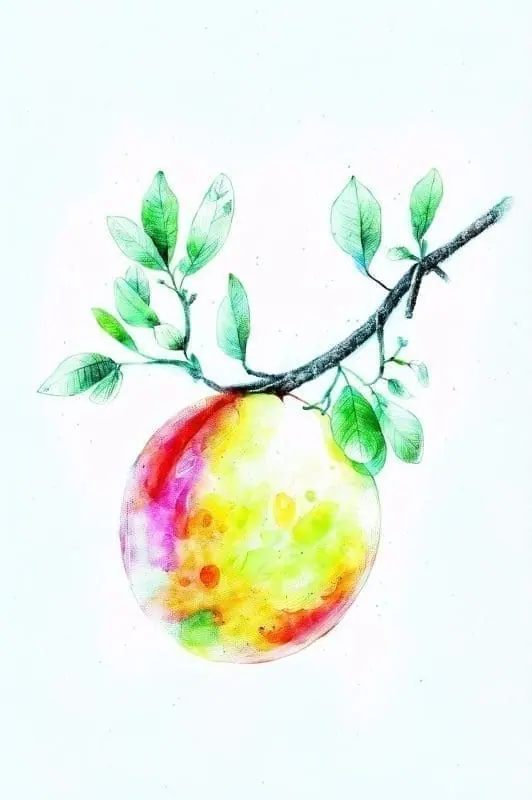 Gorgeous Watercolor Fruit – 2