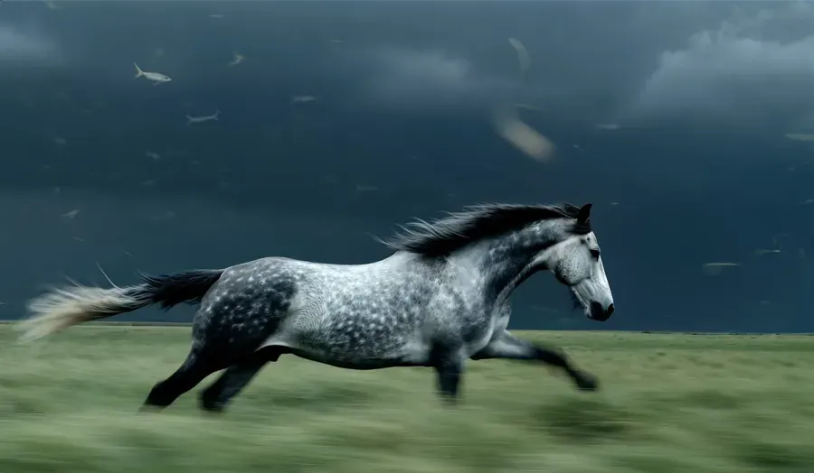 A dappled horse galloping across a field